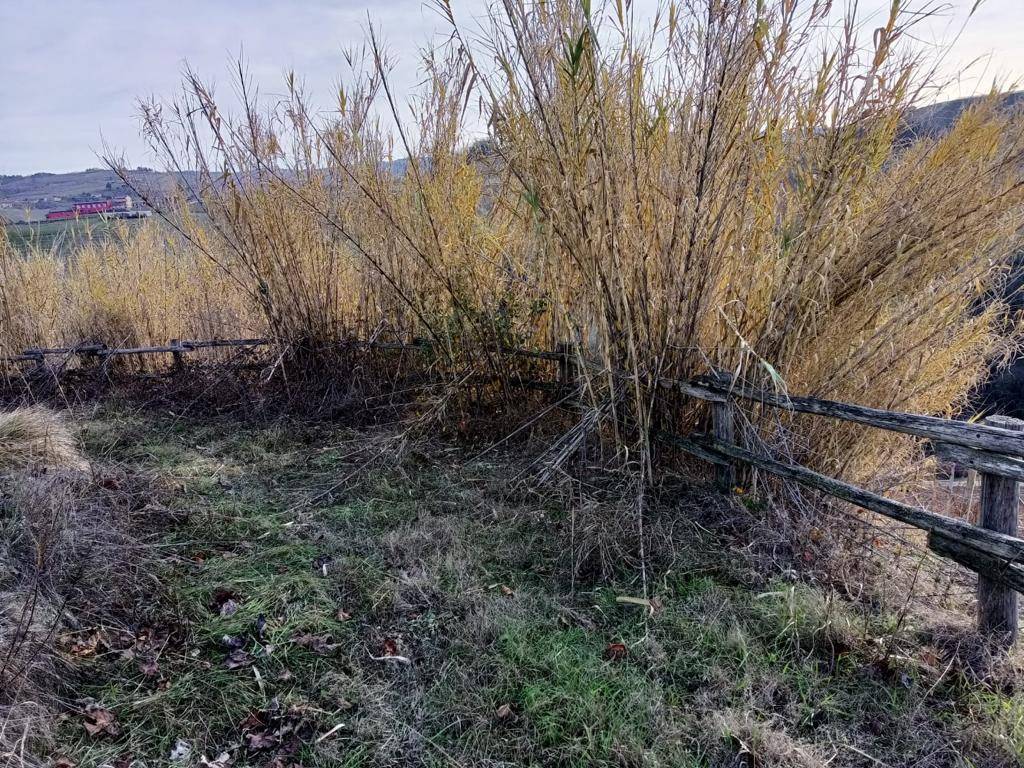 Terreno Agricolo in vendita a Serralunga d'Alba