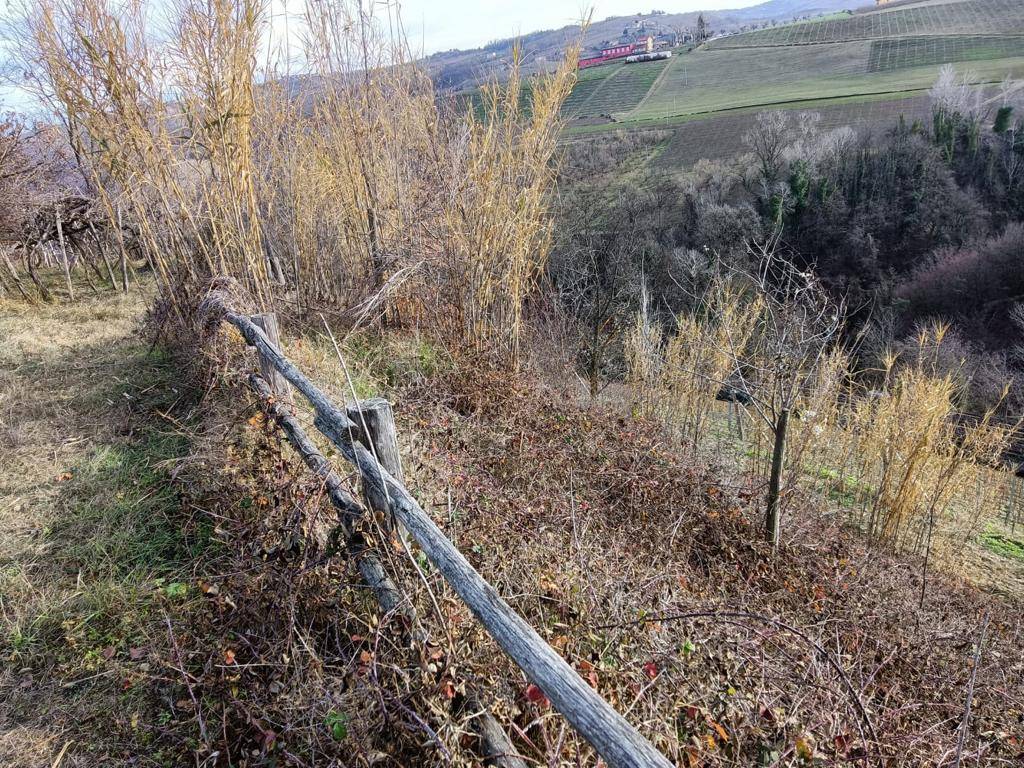 Terreno Agricolo in vendita a Serralunga d'Alba