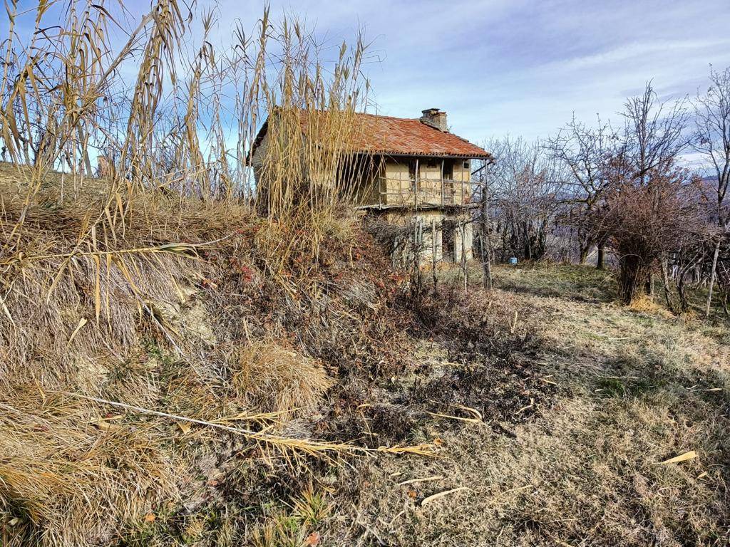 Terreno Agricolo in vendita a Serralunga d'Alba