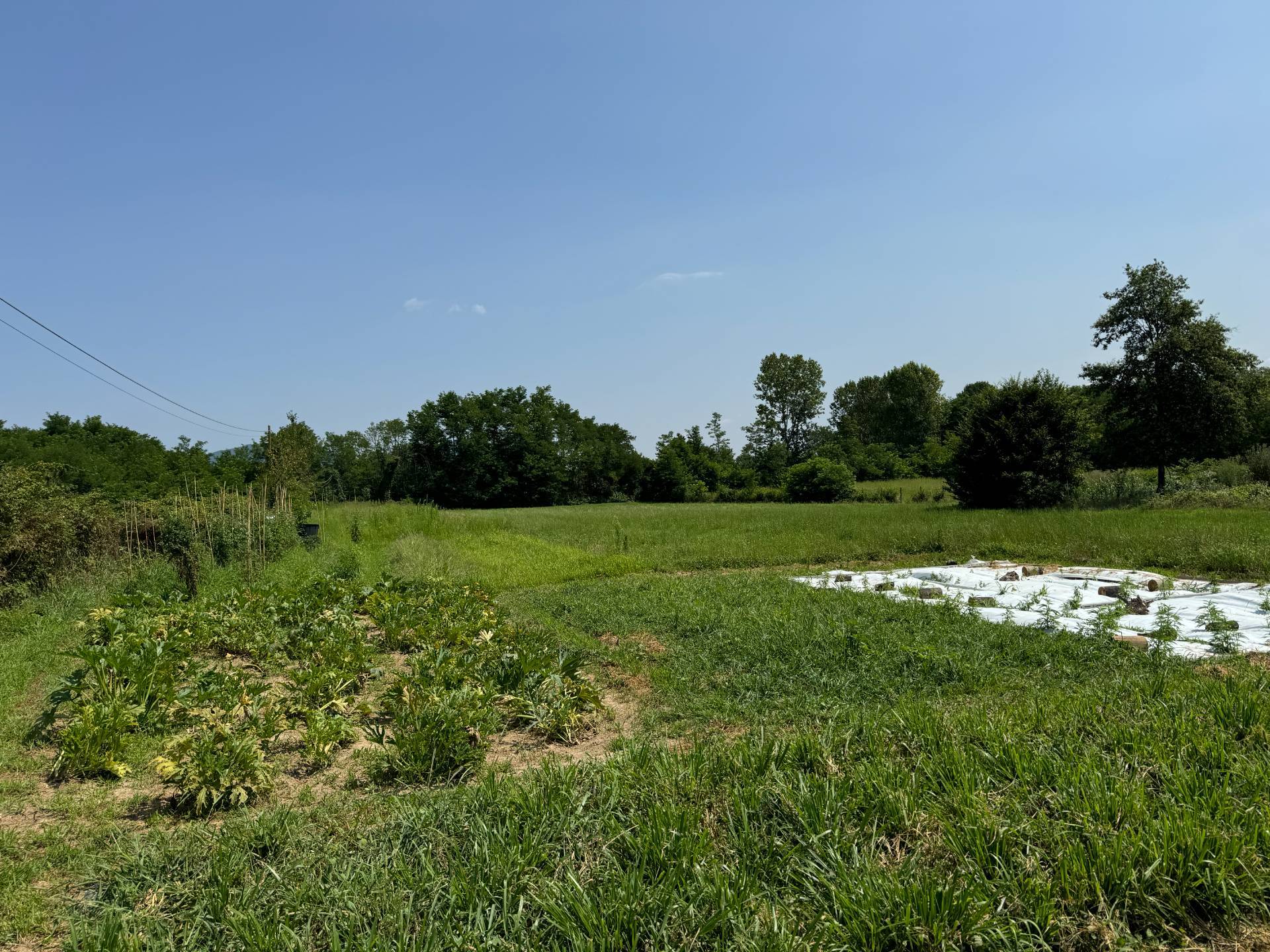 Casale in vendita a Cumiana, Campagna
