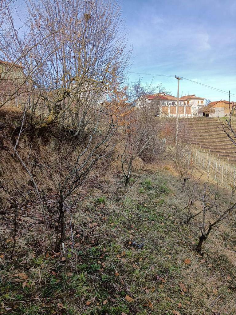 Terreno Agricolo in vendita a Serralunga d'Alba