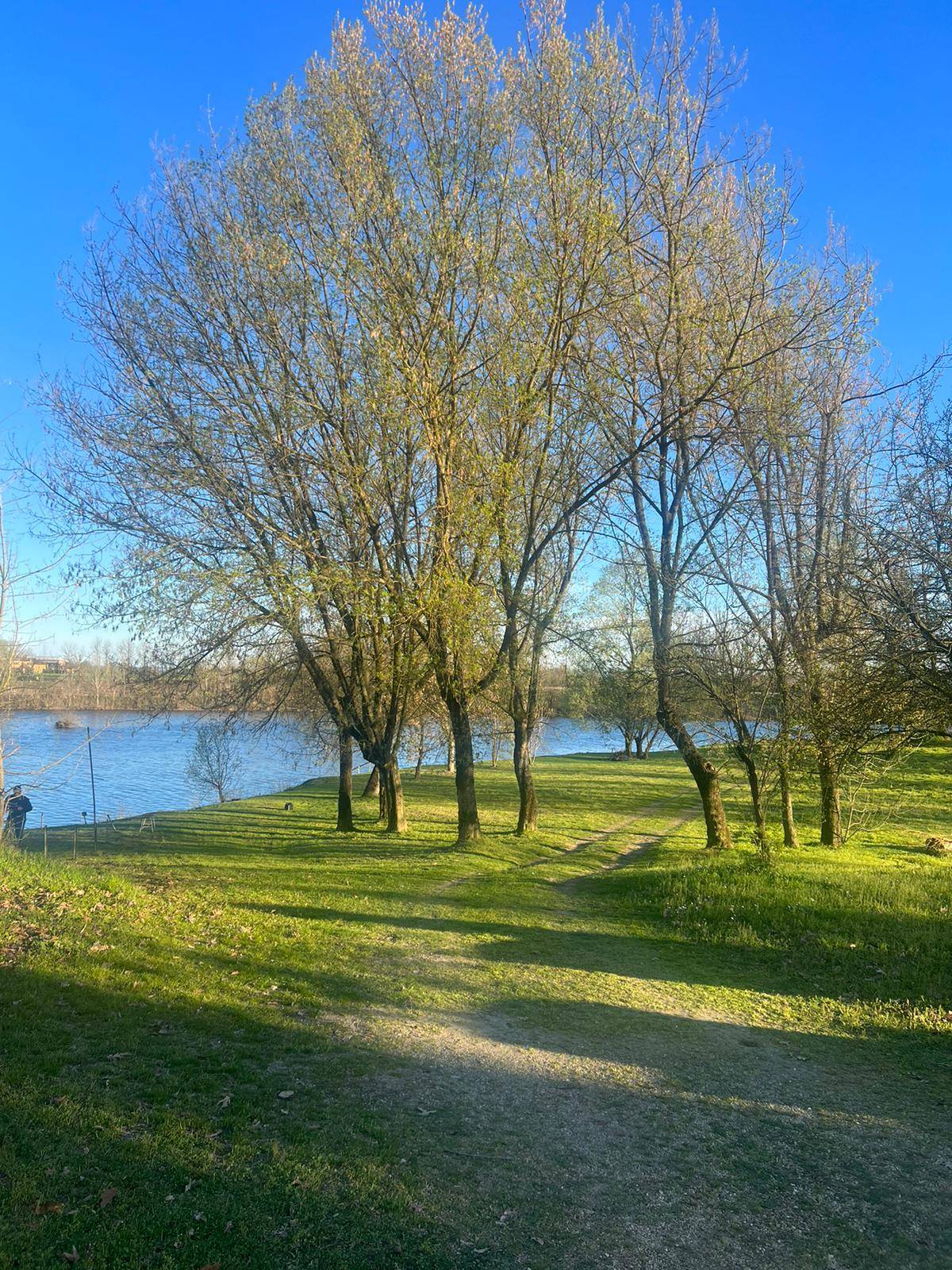 Struttura Ricettiva in vendita a Carignano, Carignano