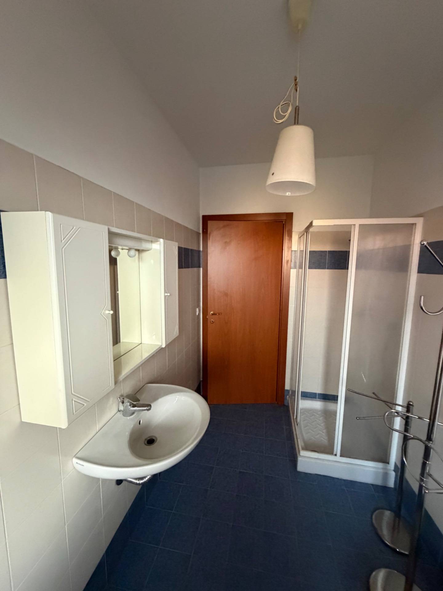 Appartamento in affitto a Caselle Torinese