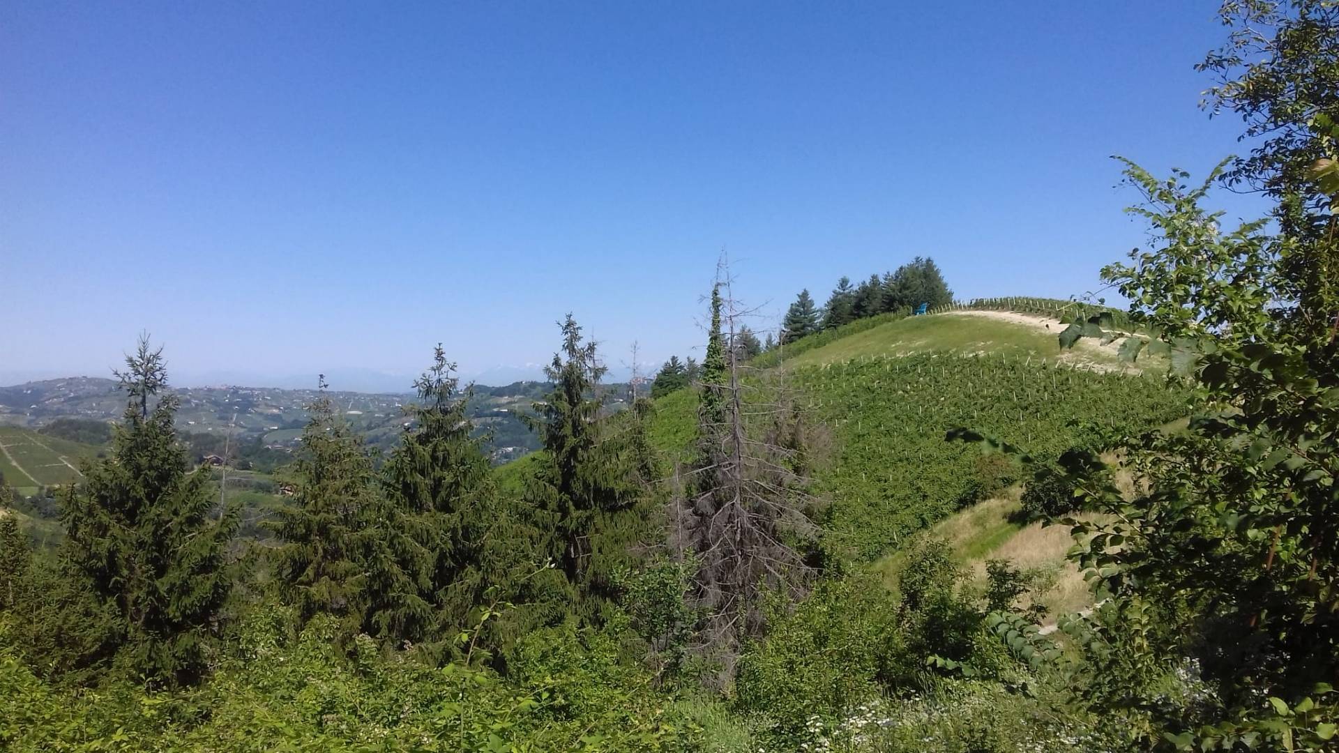 Rustico in vendita a Cassinasco, Collinare