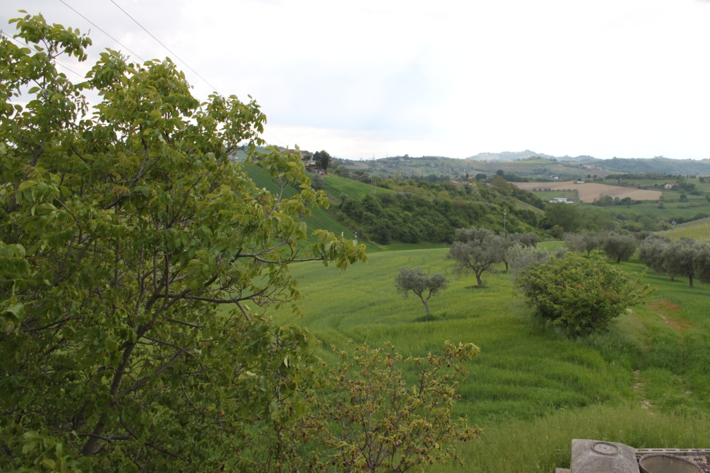 immagine annuncio 4 di 6