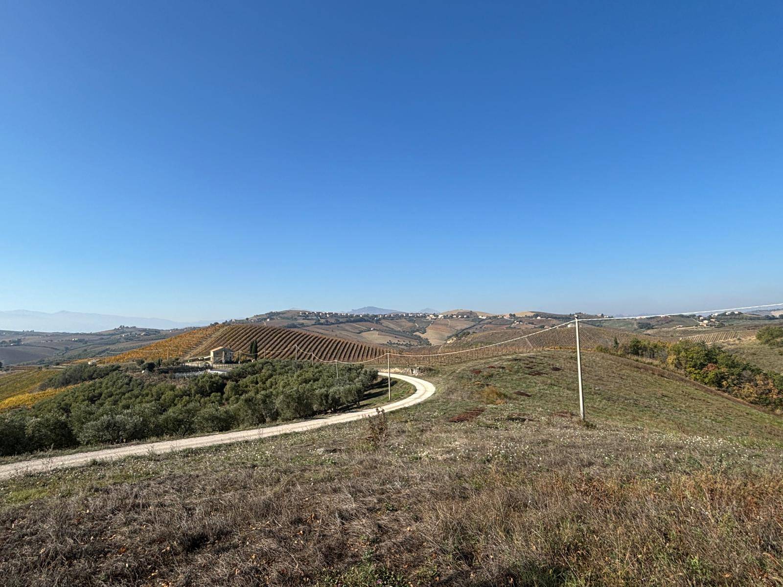 CASA COLONICA in vendita a Offida