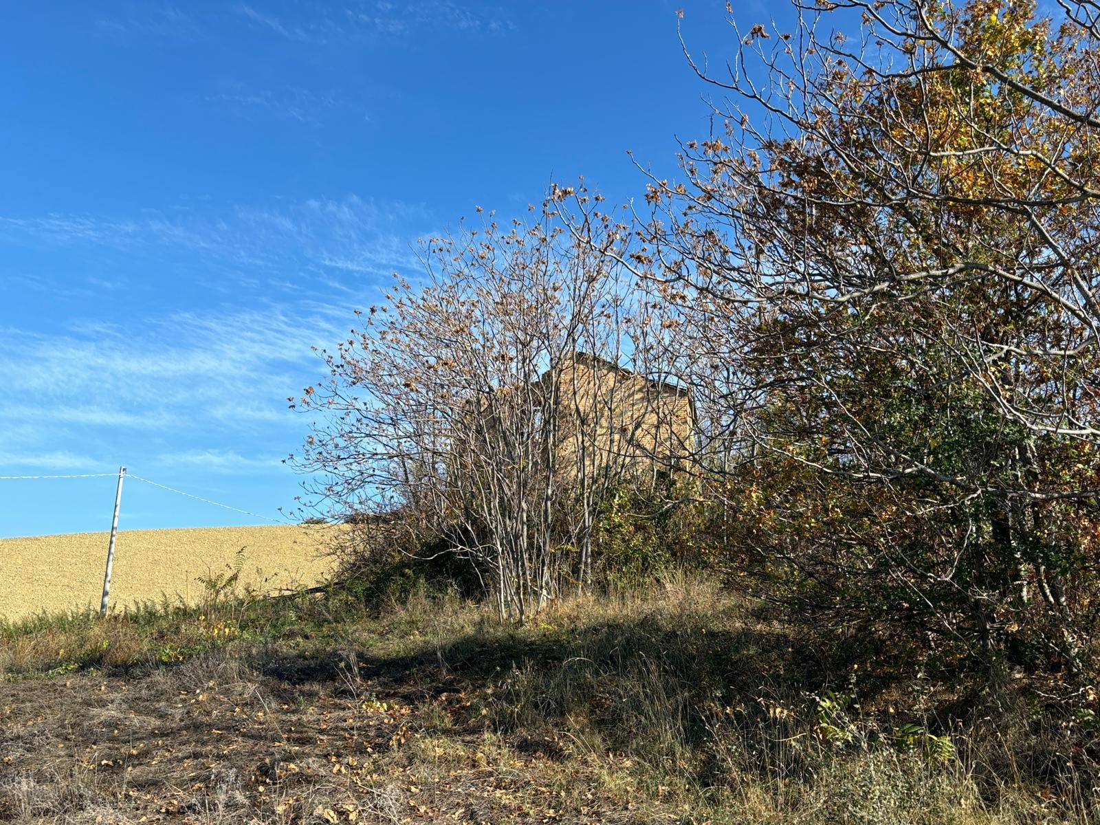 CASA COLONICA in vendita a Offida