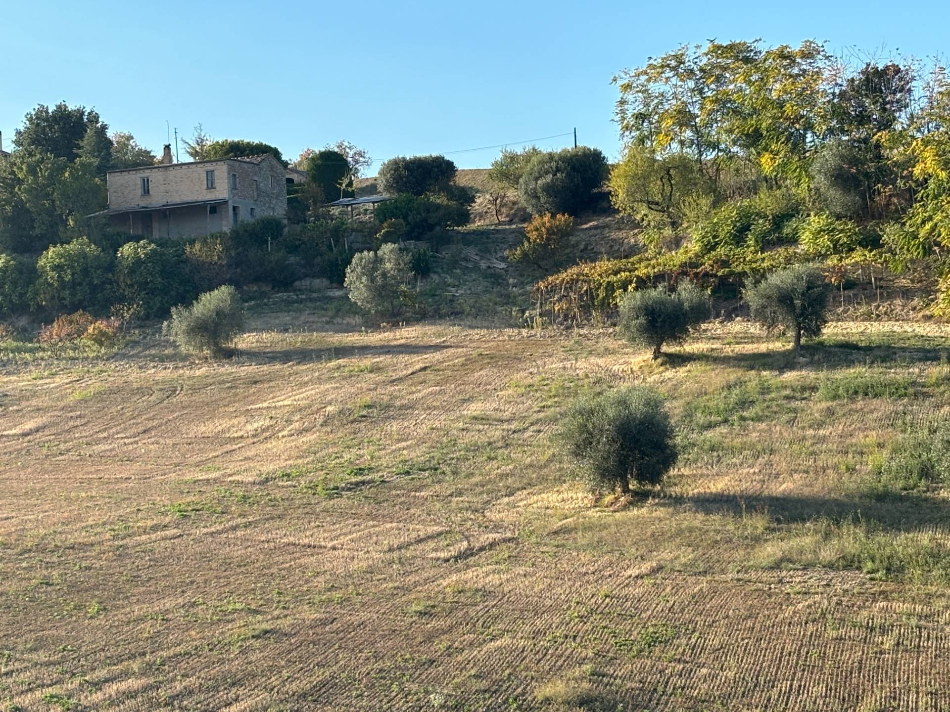CASA COLONICA in vendita a Massignano