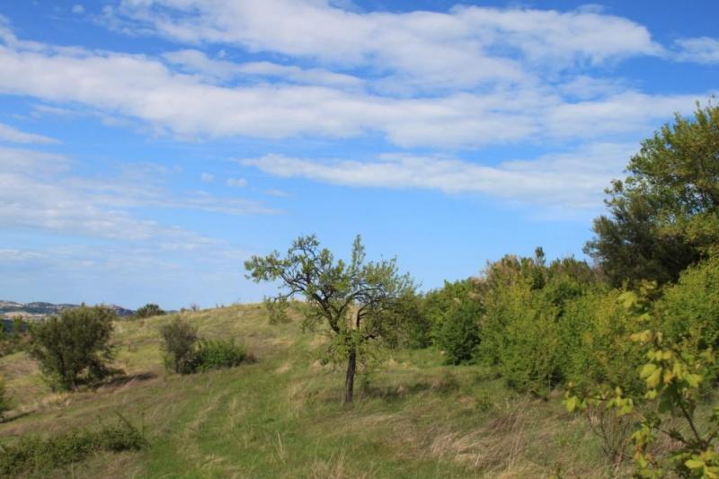 CASA COLONICA in vendita a Controguerra