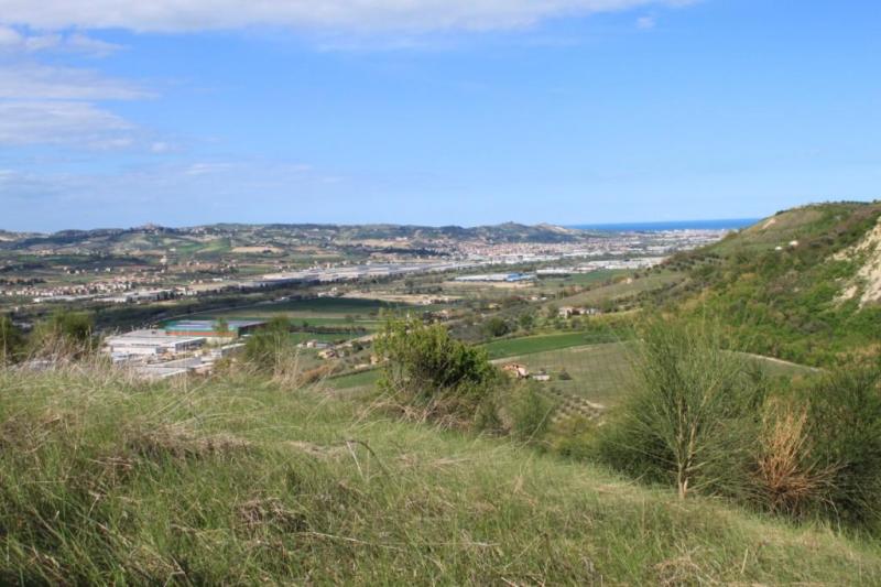 CASA COLONICA in vendita a Controguerra