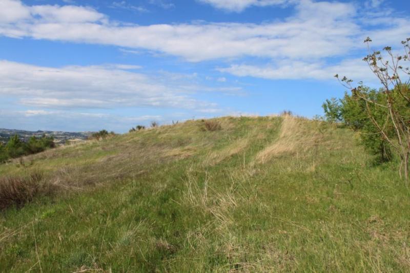 CASA COLONICA in vendita a Controguerra