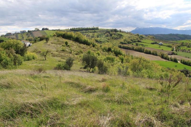 CASA COLONICA in vendita a Controguerra
