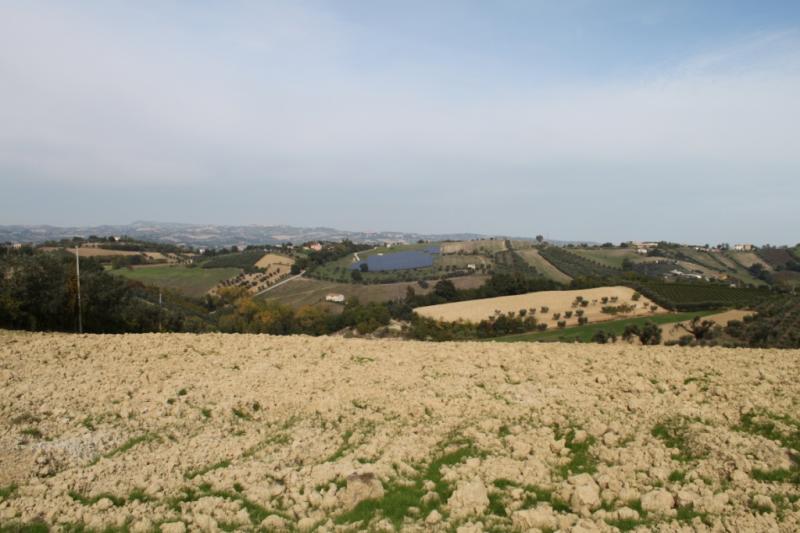 TERRENO EDIFICABILE in vendita a Controguerra