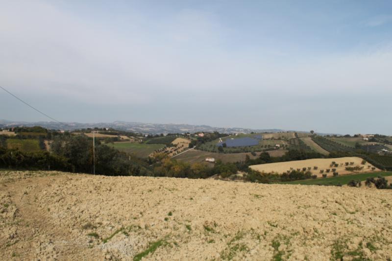 TERRENO EDIFICABILE in vendita a Controguerra