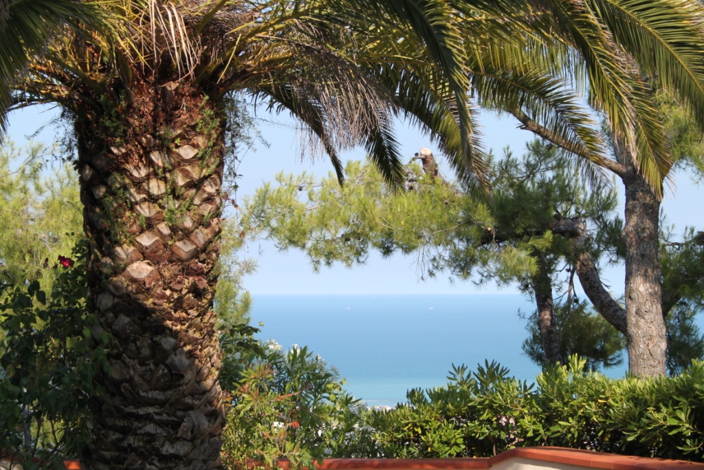 CASA/VILLA in vendita a Colonnella