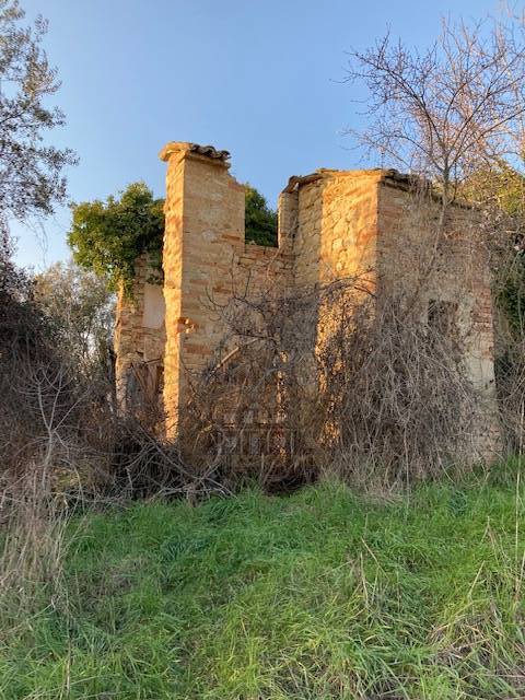 CASA COLONICA in vendita a Cossignano