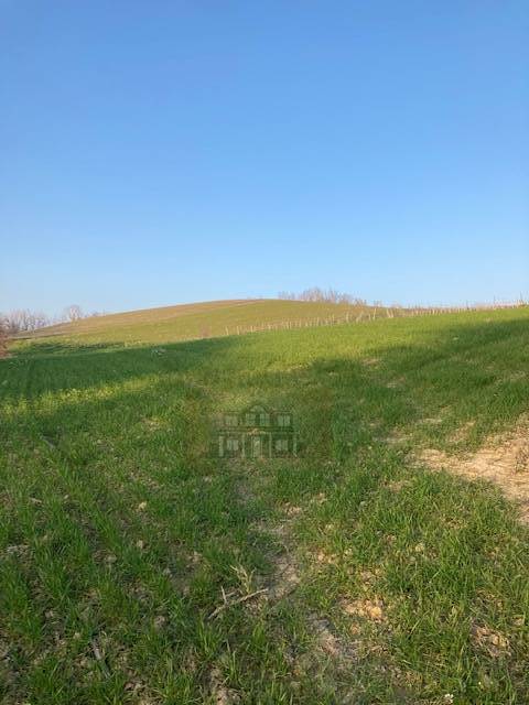 CASA COLONICA in vendita a Cossignano