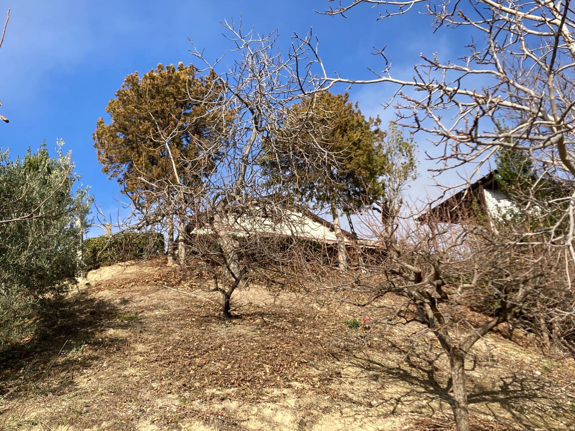 CASA COLONICA in vendita a Ripatransone