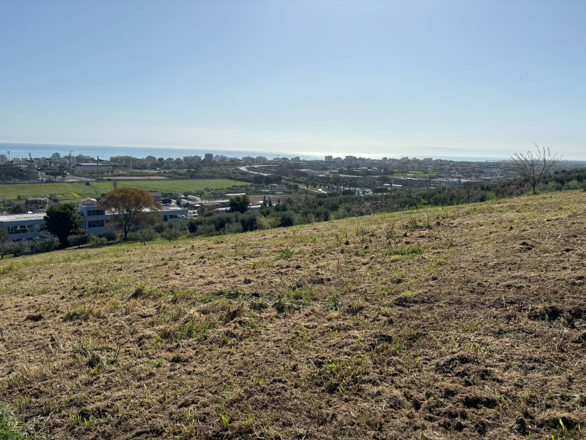 immagine annuncio 1 di 6