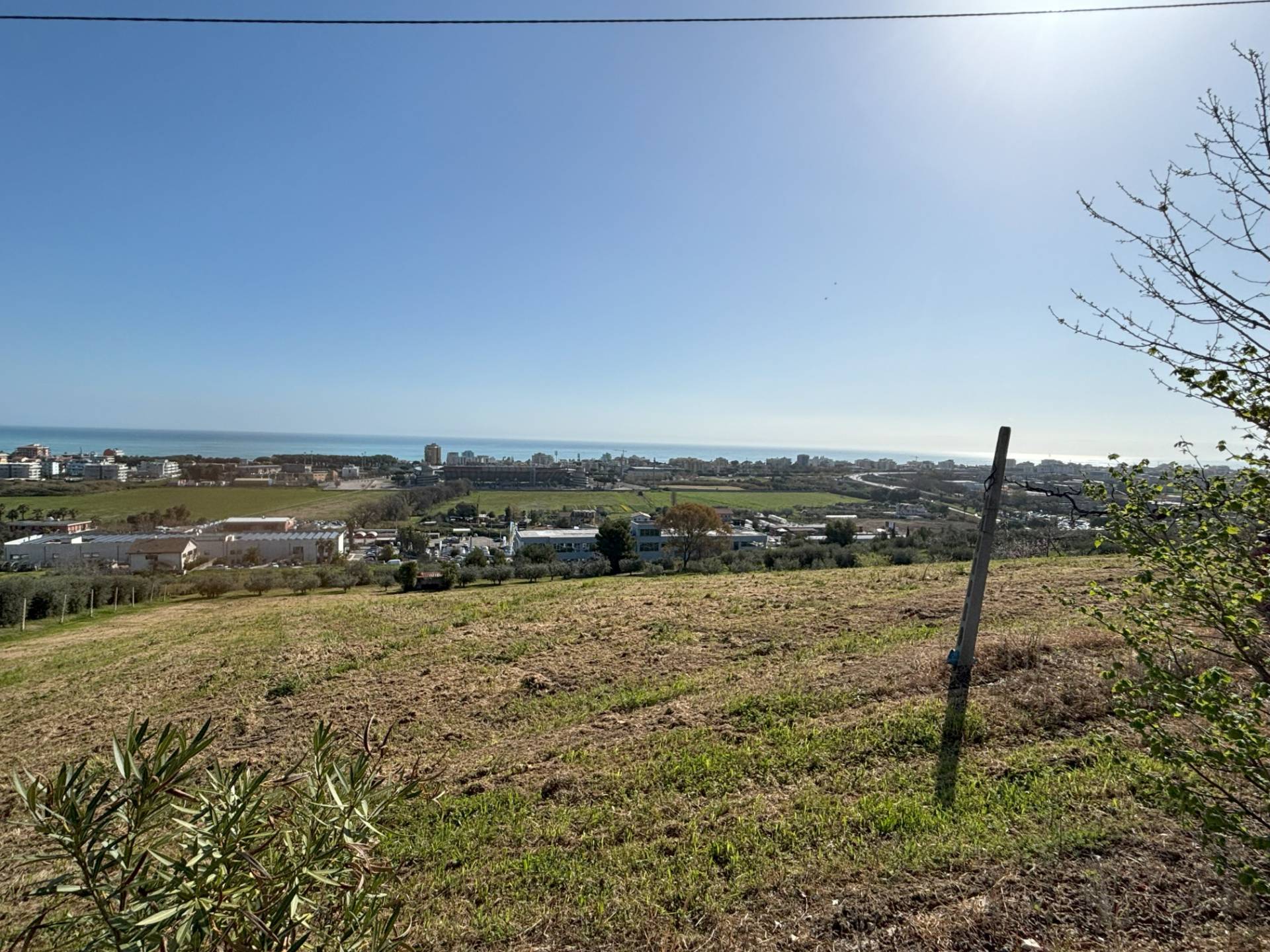 immagine annuncio 2 di 6