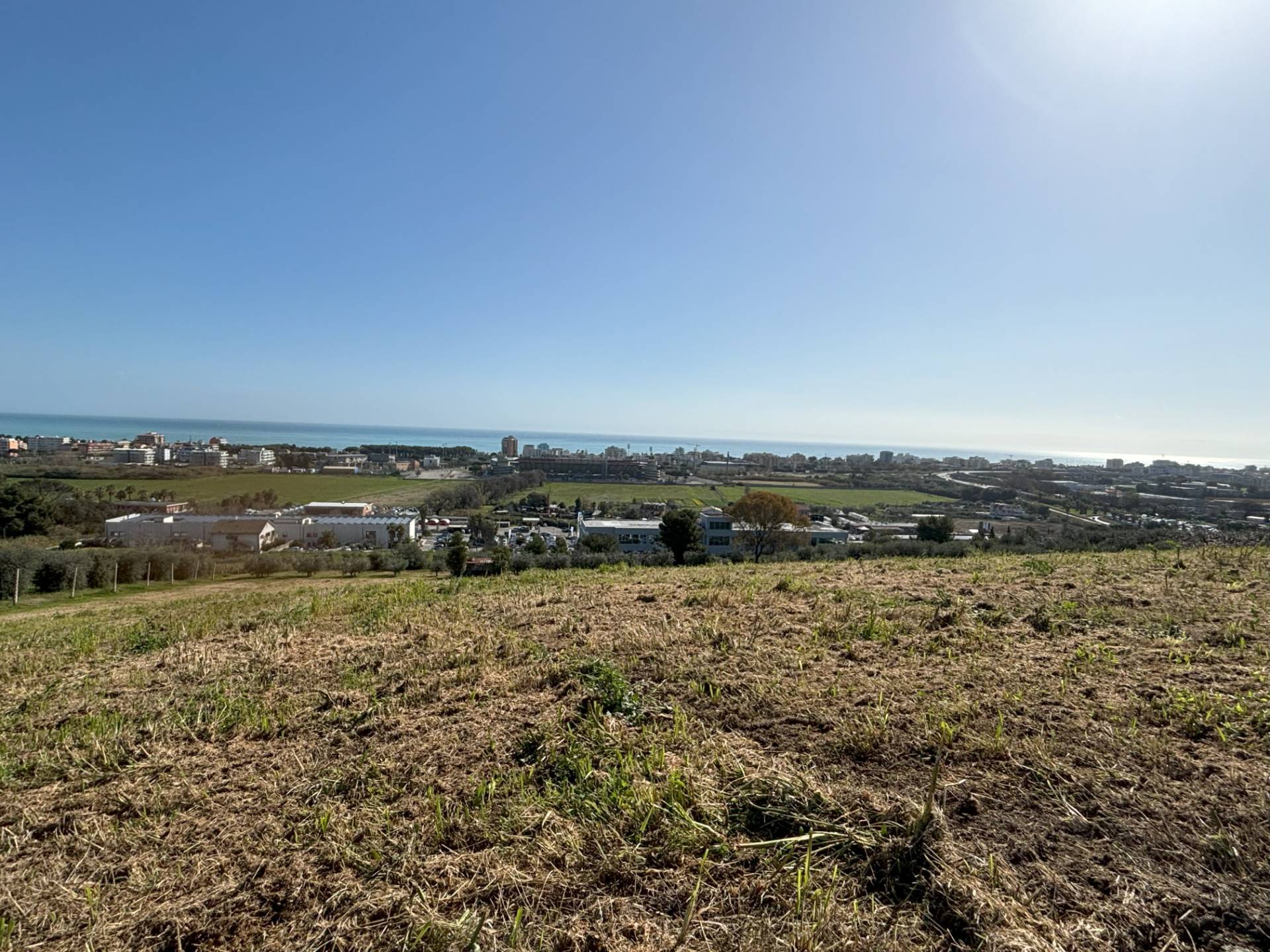 immagine annuncio 3 di 6