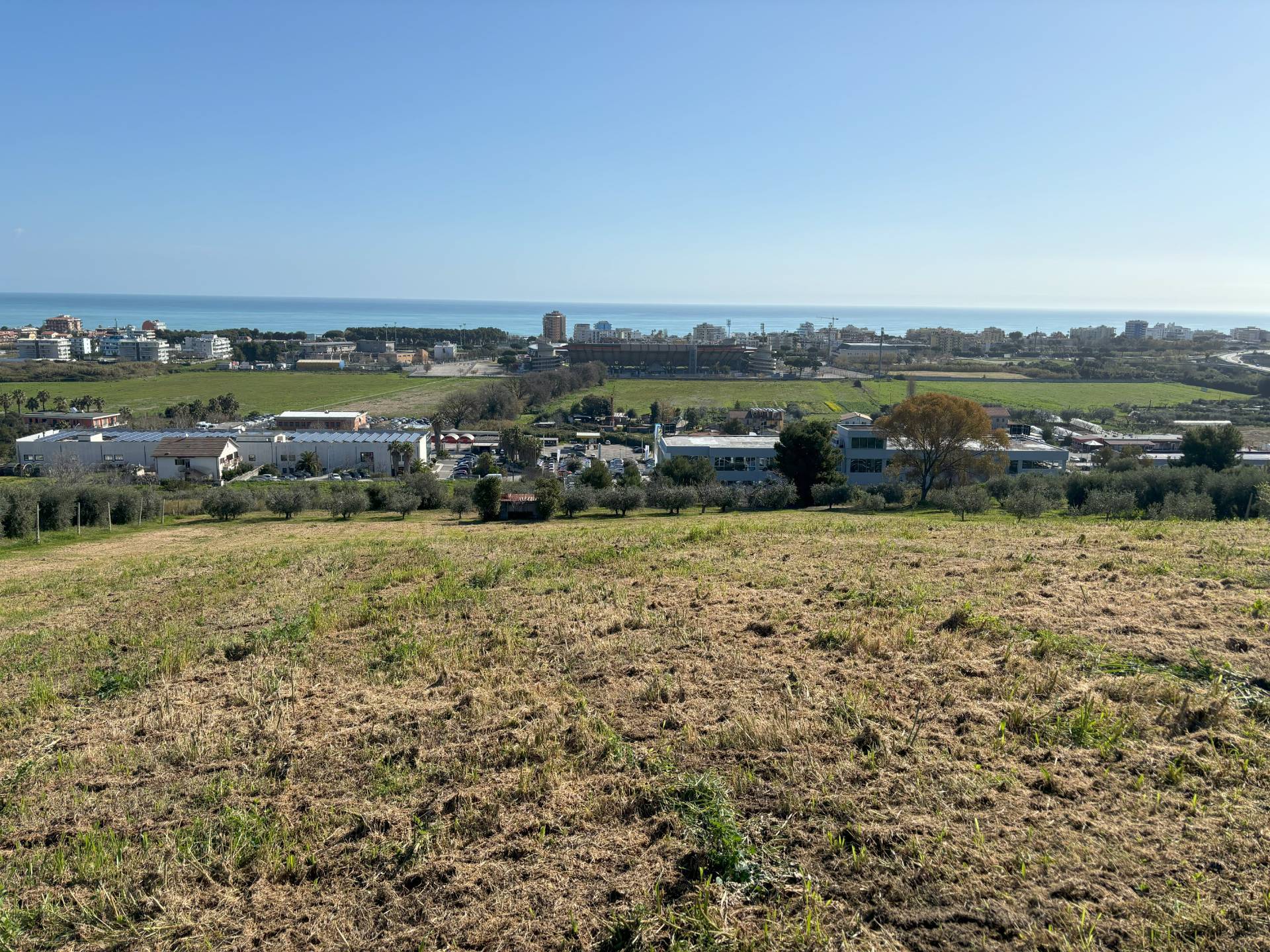 immagine annuncio 5 di 6