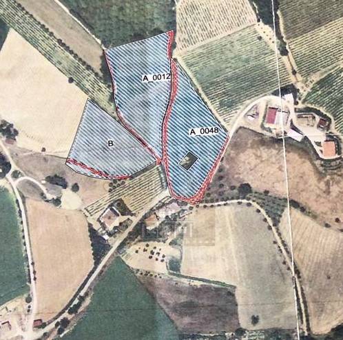 immagine annuncio 5 di 9