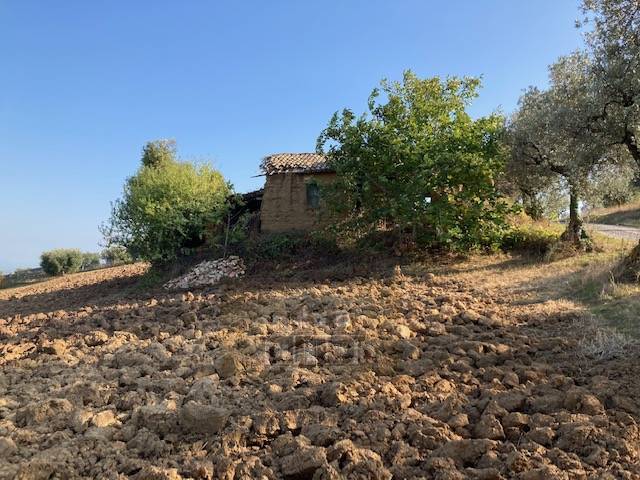 immagine annuncio 3 di 8