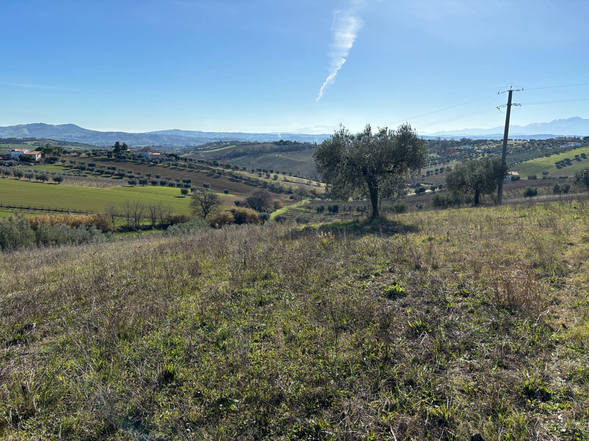 CASA COLONICA in vendita a Controguerra