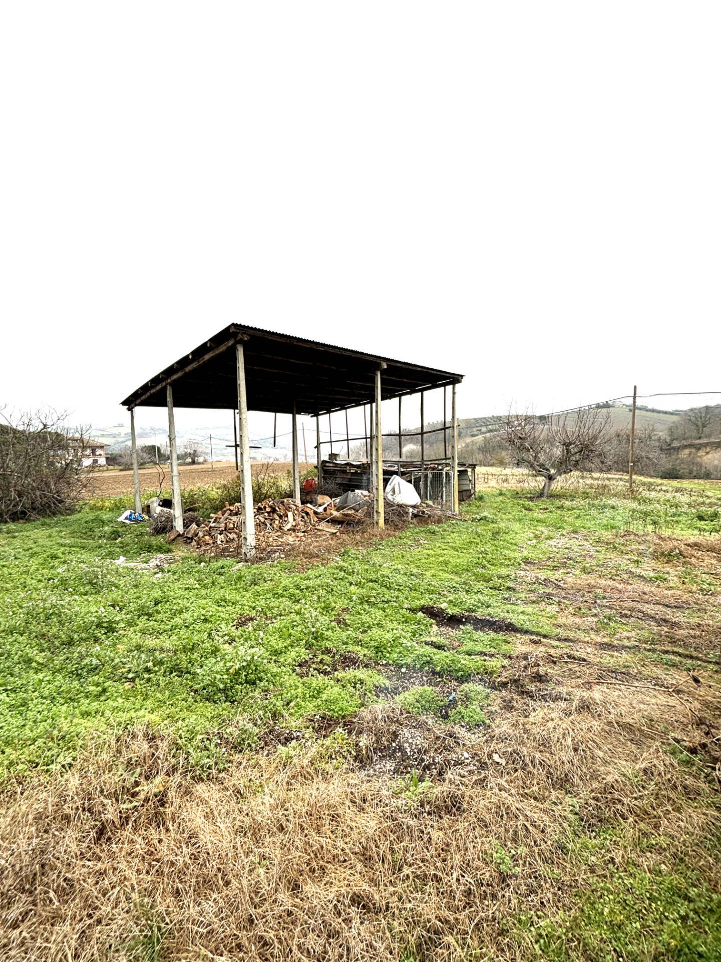 CASA COLONICA in vendita a Offida