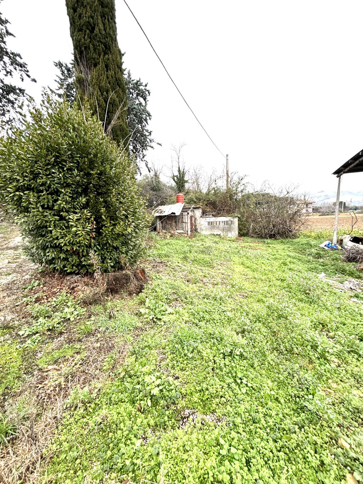 CASA COLONICA in vendita a Offida