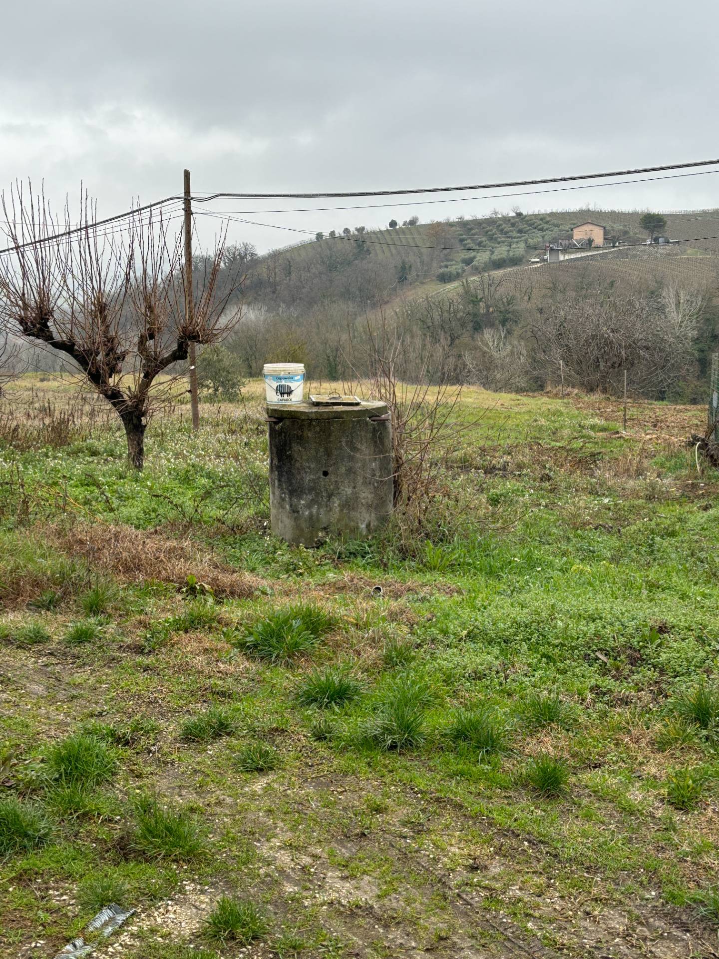 CASA COLONICA in vendita a Offida