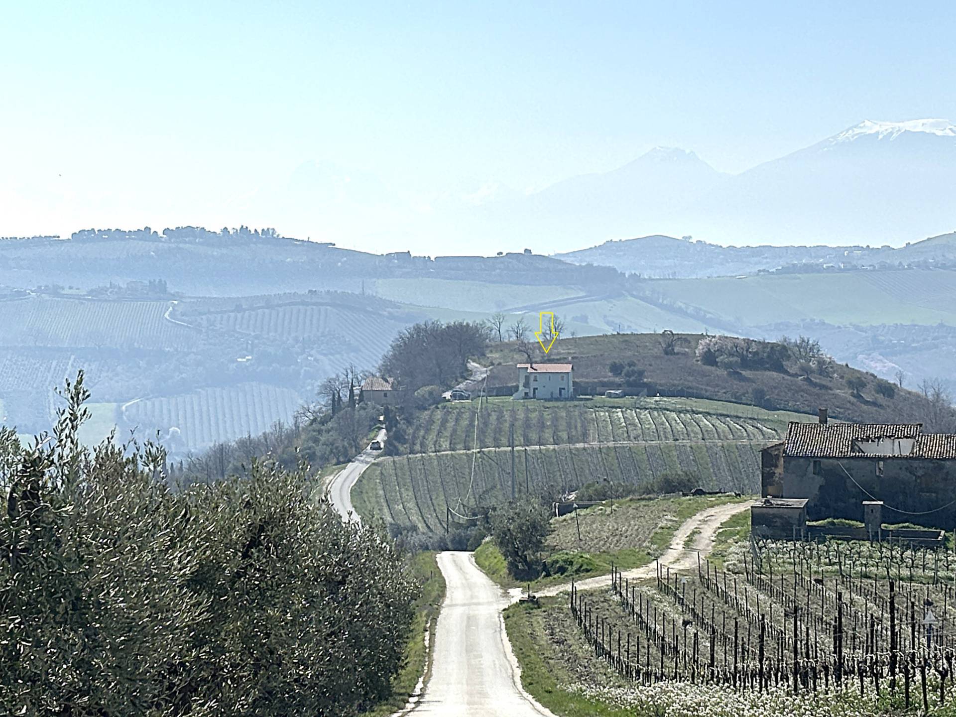 immagine annuncio 8 di 10