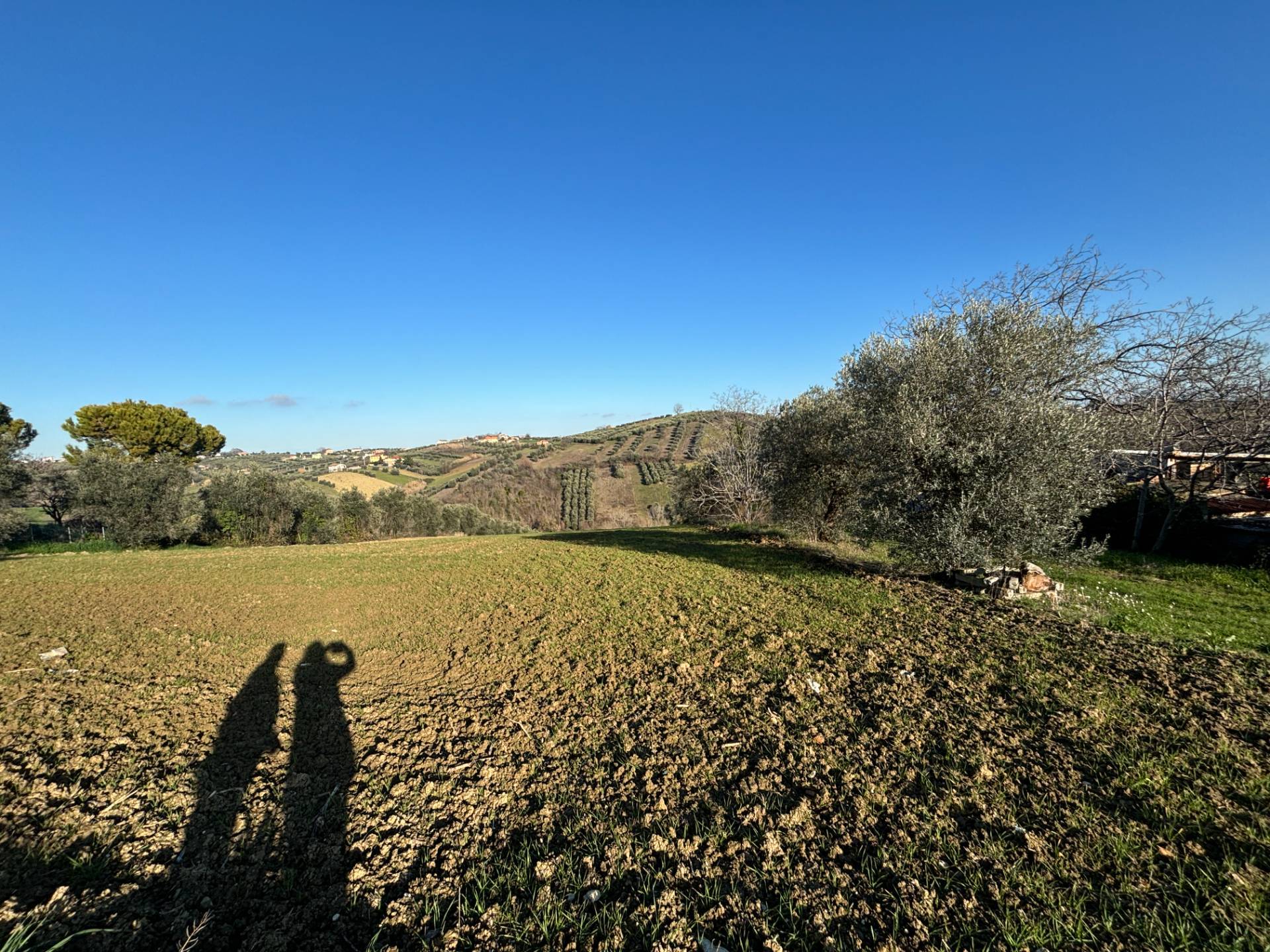 VILLETTA A SCHIERA in vendita a Torano Nuovo