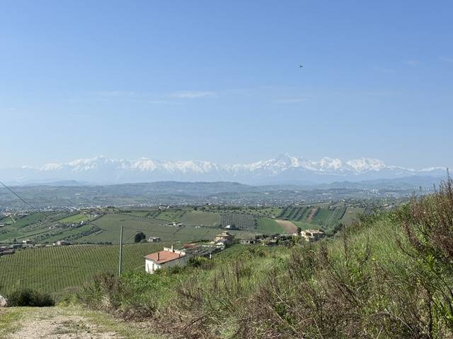 TERRENO EDIFICABILE in vendita a Colonnella
