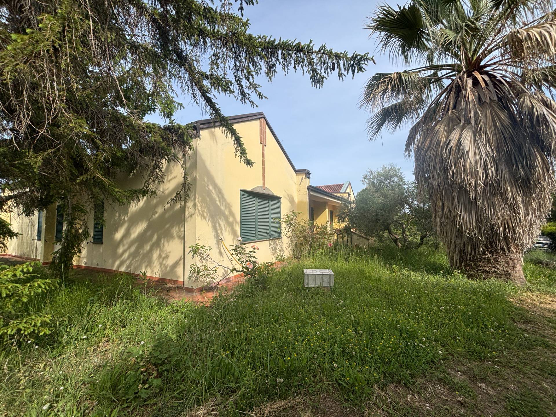 immagine annuncio 3 di 10