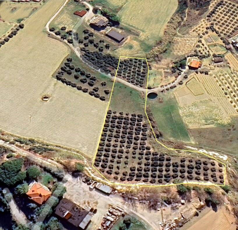 TERRENO AGRICOLO in vendita a San Benedetto del Tronto, ZONA ALBULA