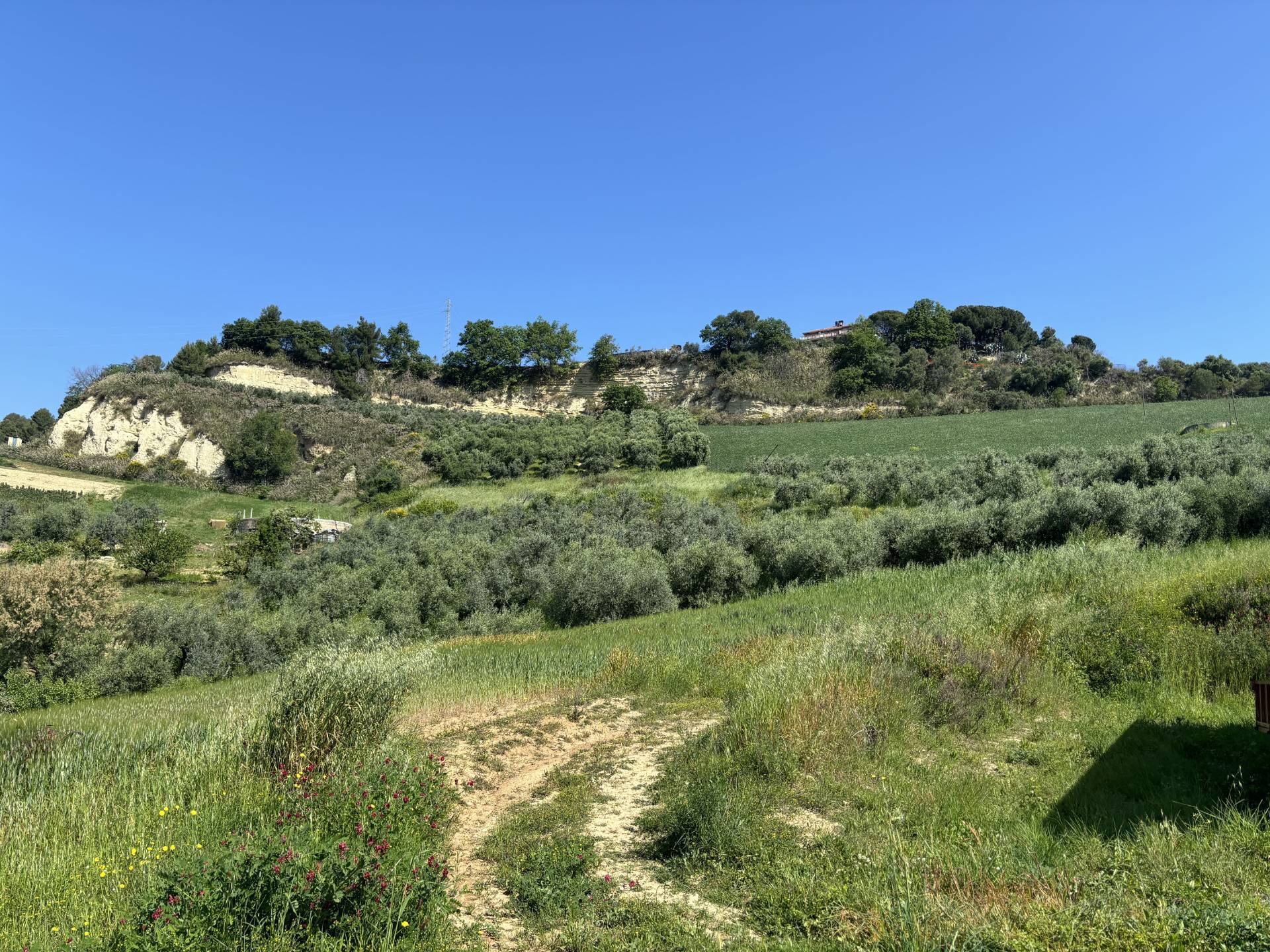 TERRENO AGRICOLO in vendita a San Benedetto del Tronto, ZONA ALBULA