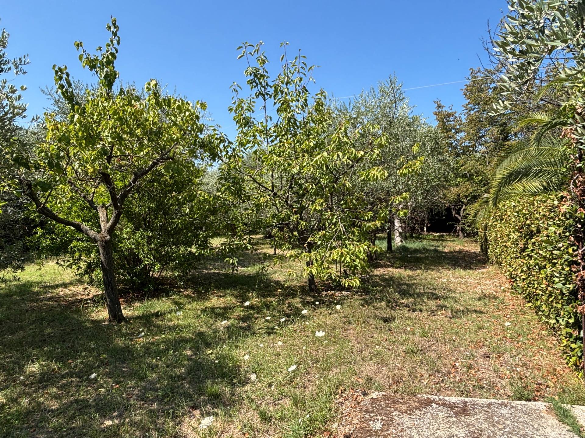 CASA/VILLA in vendita a Sant'Egidio alla Vibrata