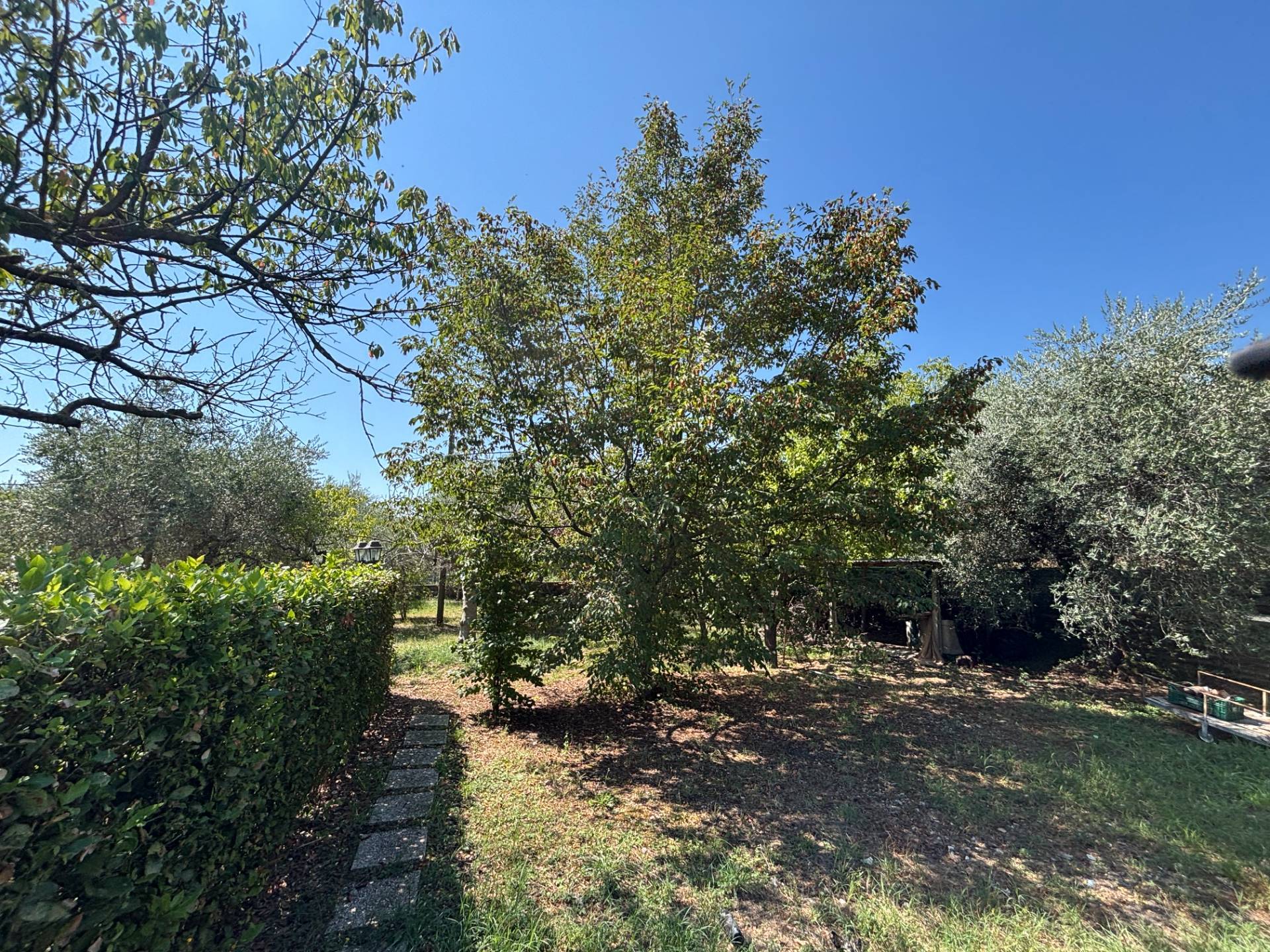 CASA/VILLA in vendita a Sant'Egidio alla Vibrata