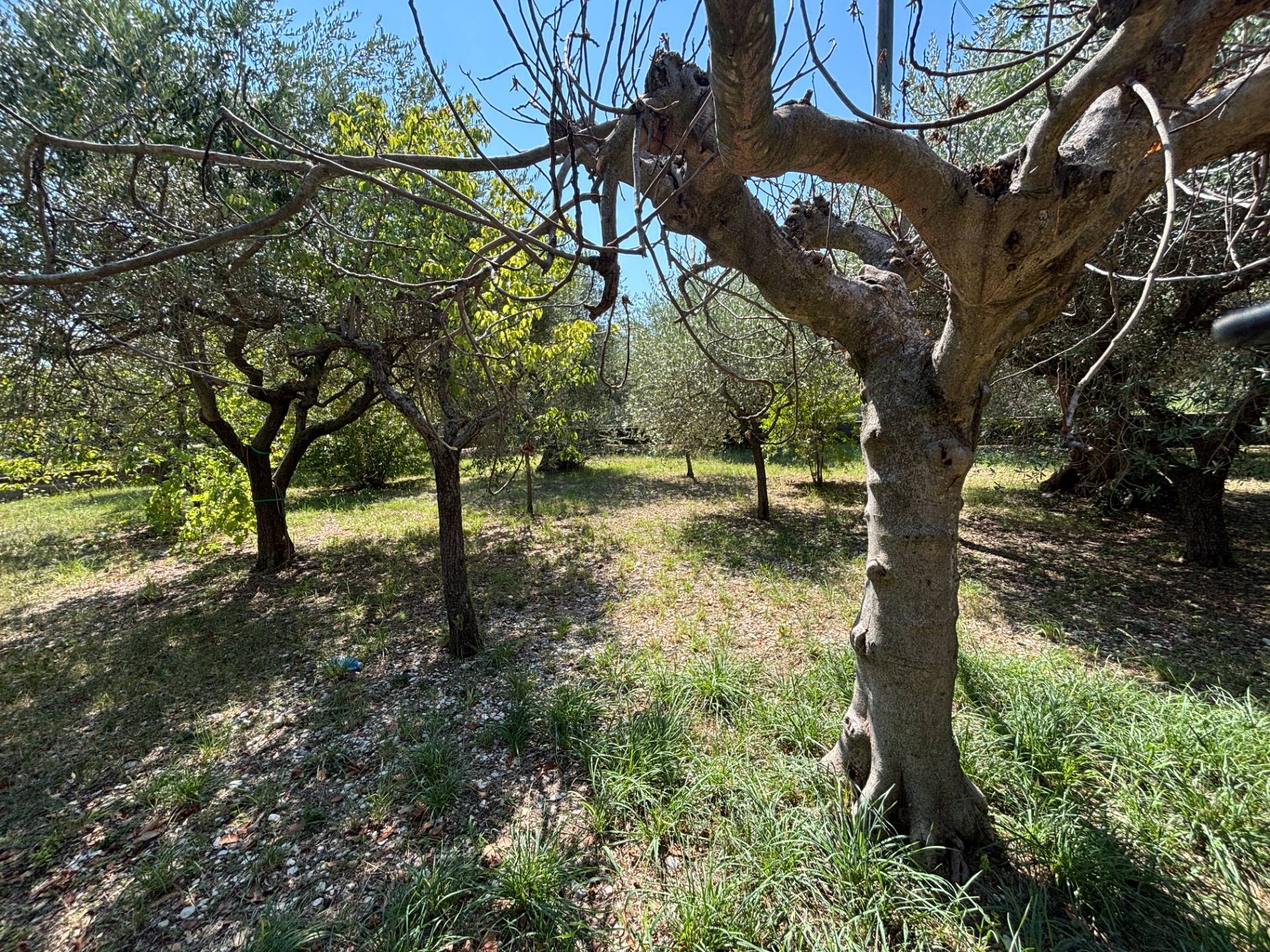 CASA/VILLA in vendita a Sant'Egidio alla Vibrata
