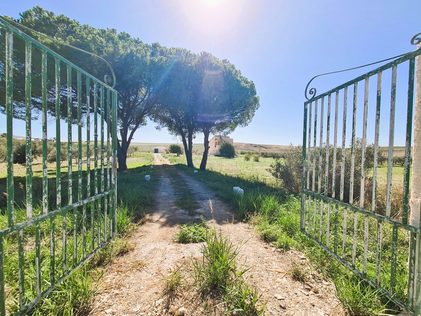 Villa con giardino a Favara