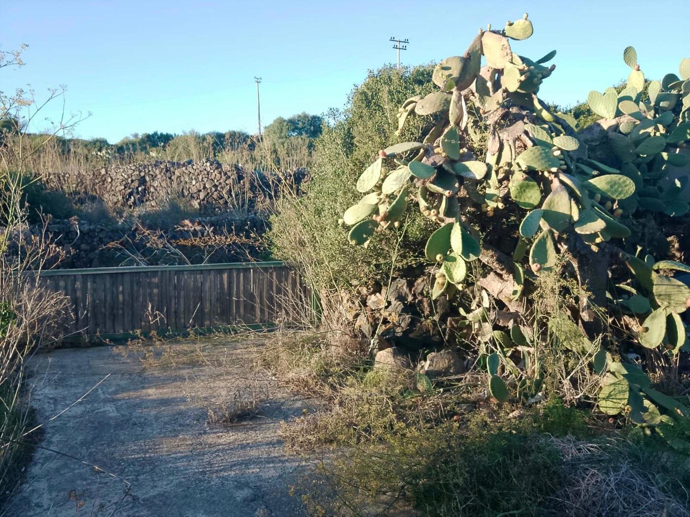 Rustico con giardino a Pantelleria
