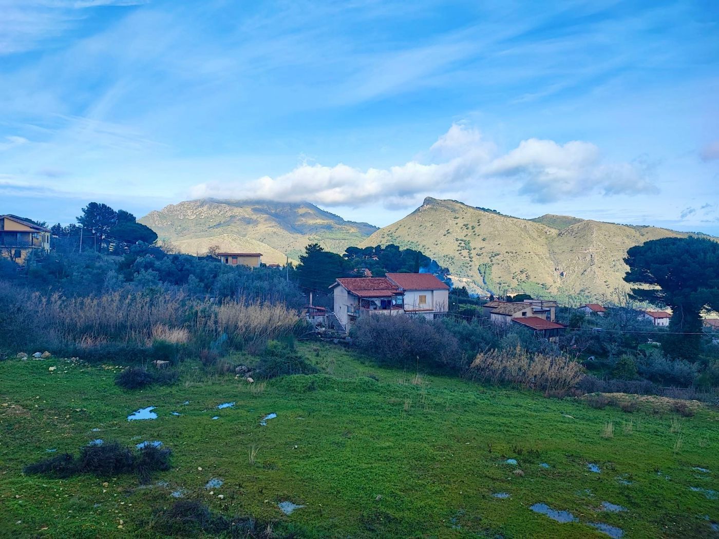 immagine annuncio 5 di 7