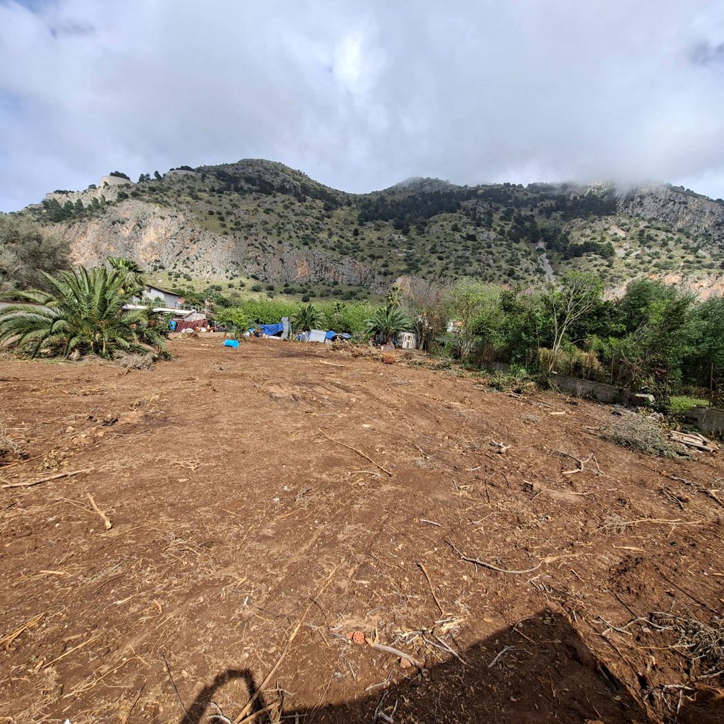 Terreno Agricolo in affitto a Palermo