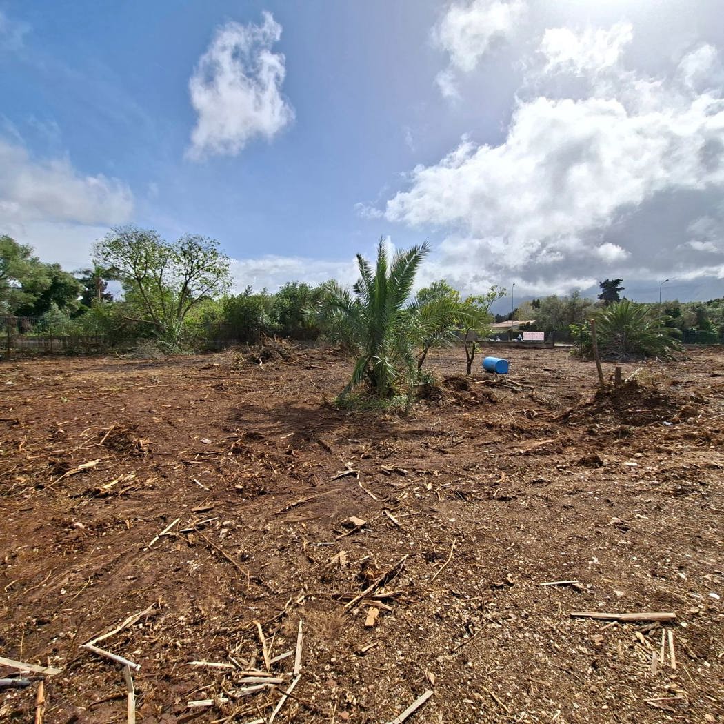 Terreno Agricolo in affitto a Palermo