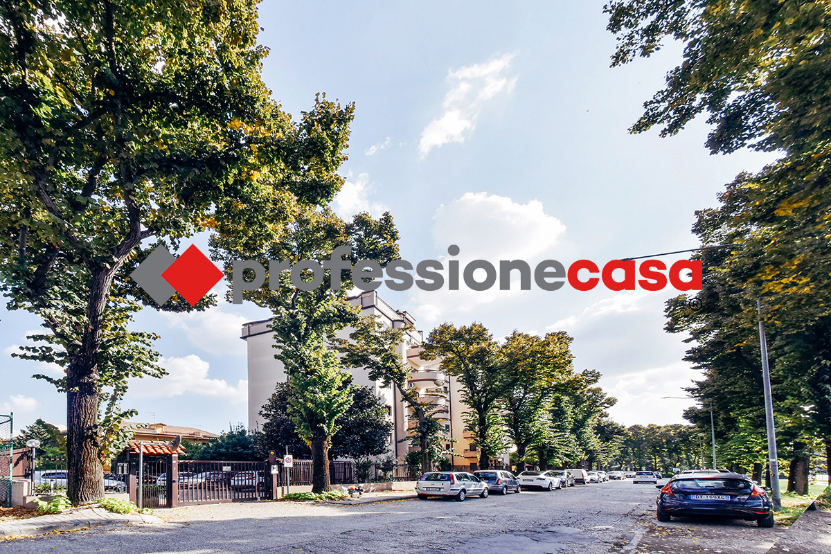 immagine annuncio 1 di 10