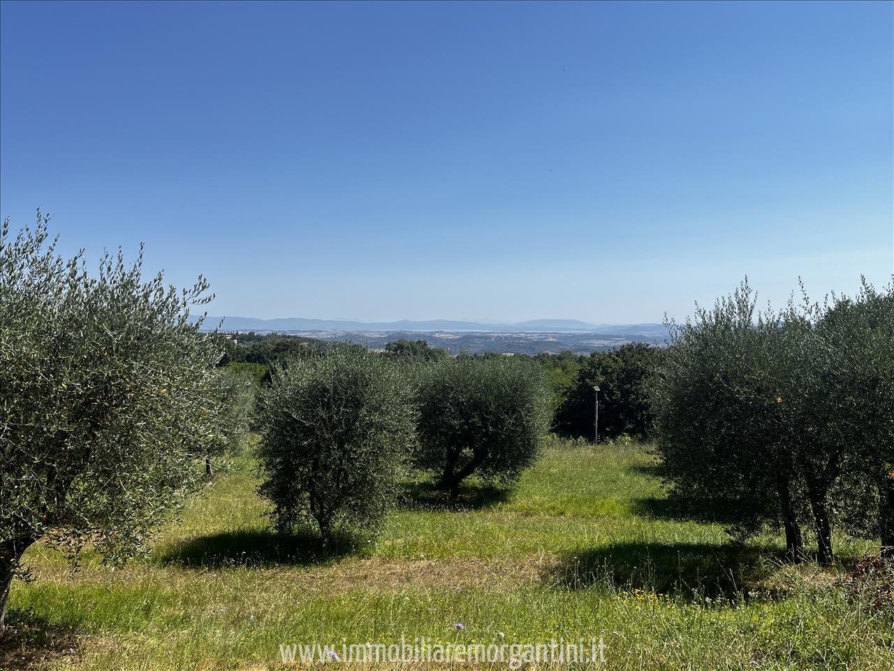 Terreno in vendita a Sarteano