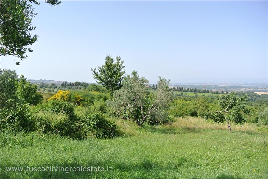 Rustico con giardino a Sarteano