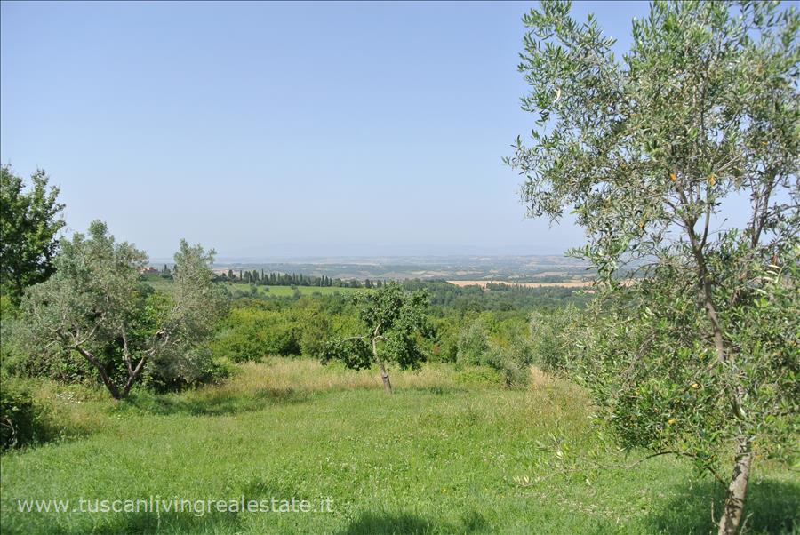 Rustico con giardino a Sarteano